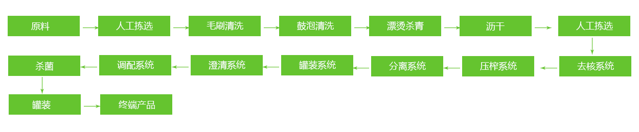 青梅工艺流程